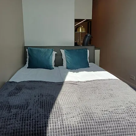 Luise Luxe Apartment *